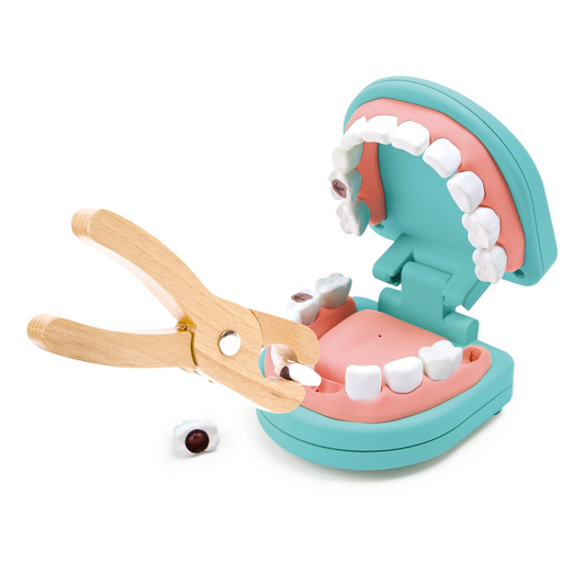 Little Dentist Playset|小小牙醫角色扮演套裝
