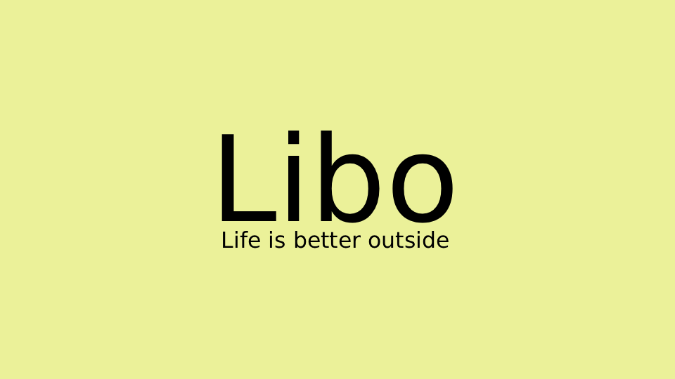 Hape Libo｜Thoughtfully Designed Toys for Early Discovery｜Hape HK