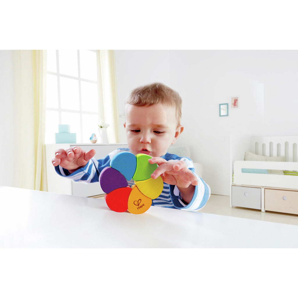 Rainbow Rattle Display (6 pcs)