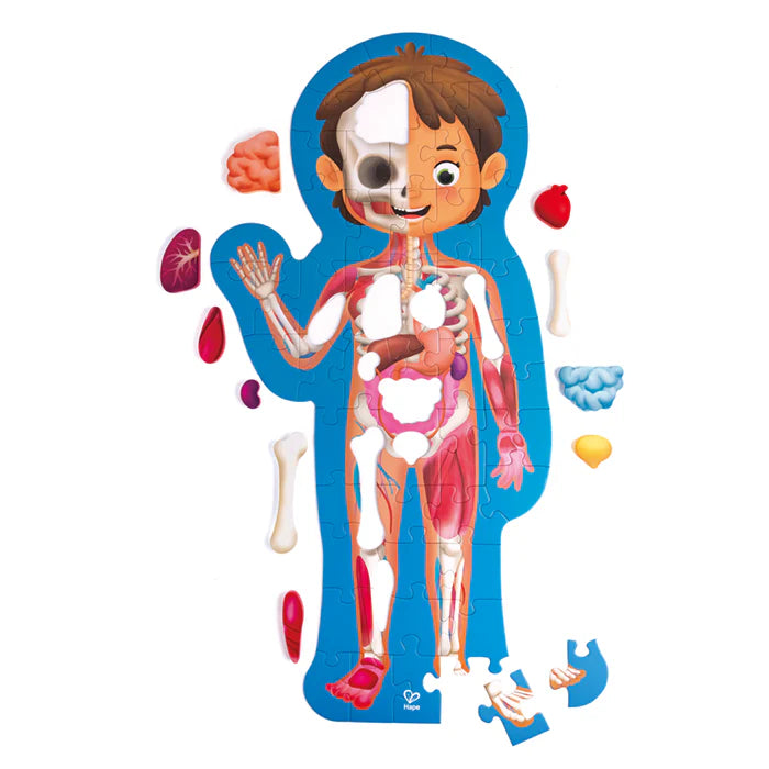 Human Body Puzzle｜人體拼圖