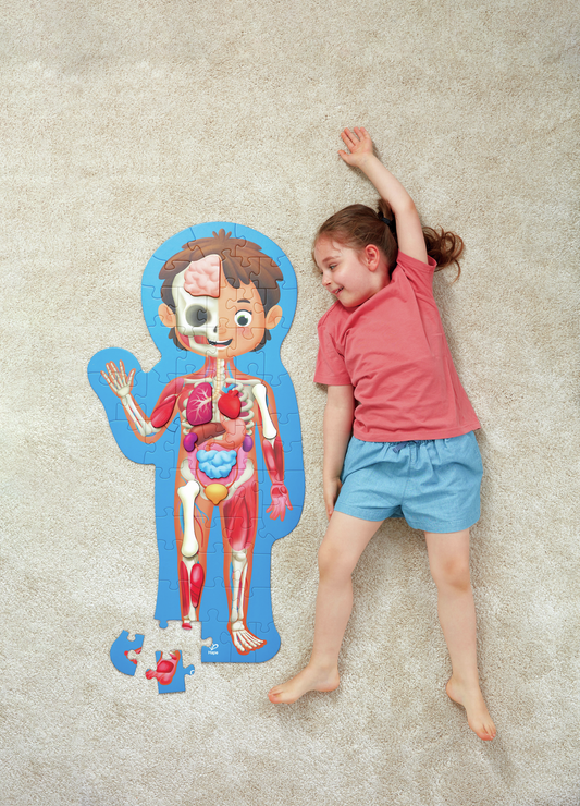 Human Body Puzzle｜50 片+ 10 件立體器官組人體拼圖