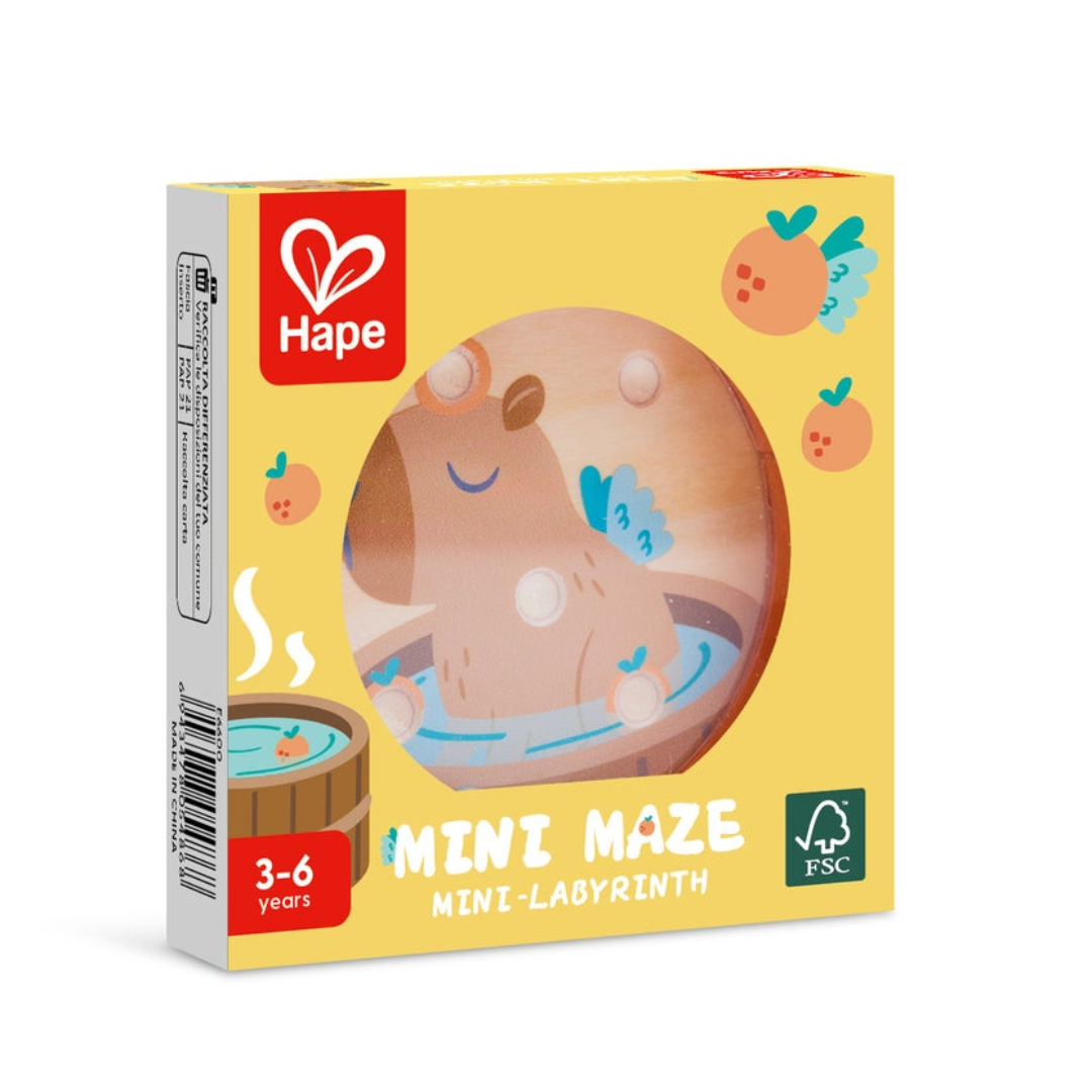 Mini Maze｜迷你迷宮挑戰遊戲