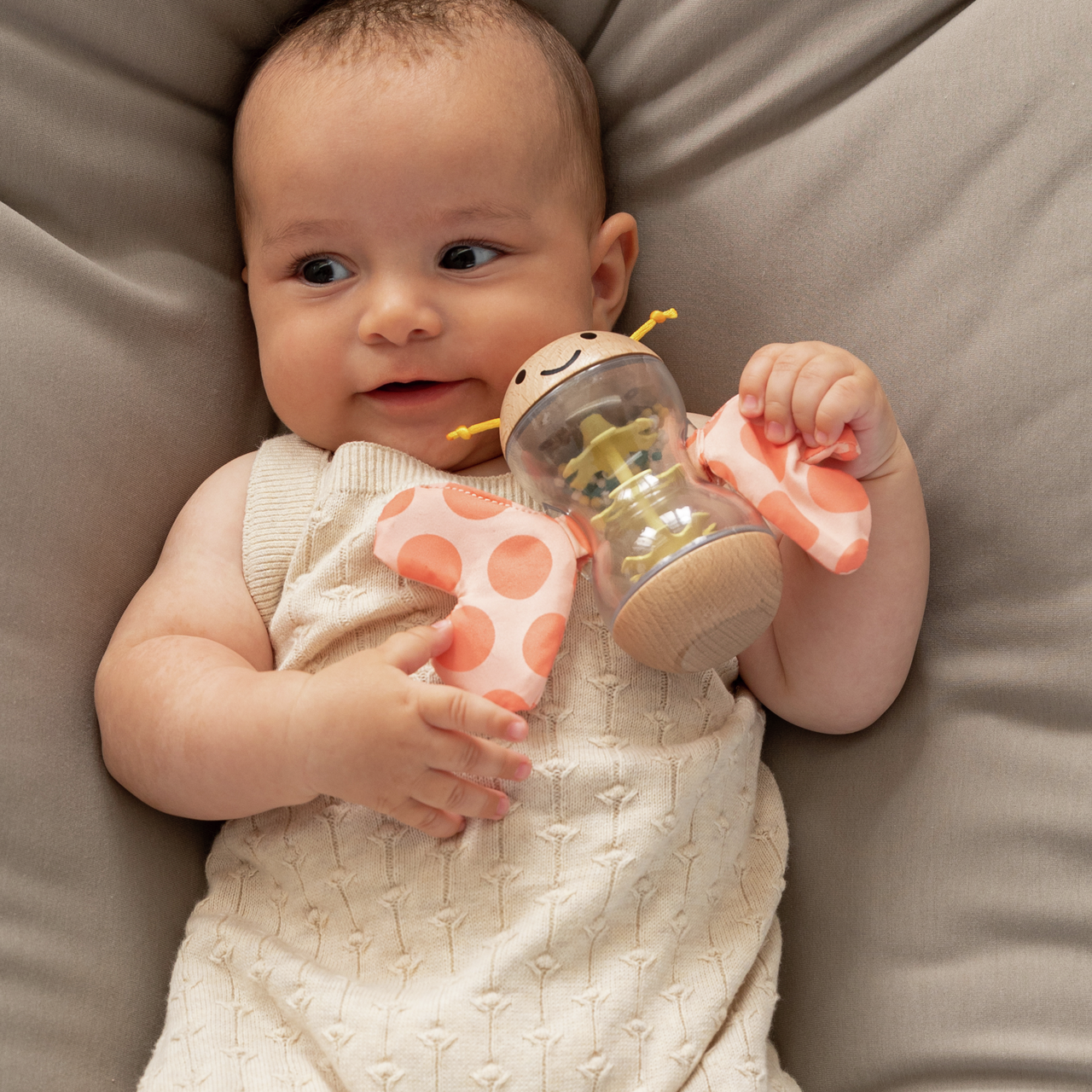 Butterfly Rainmaker Robert