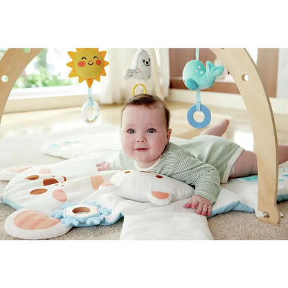 Snuggle Bear Activity Gym